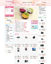 Temp���������̳���վģ��