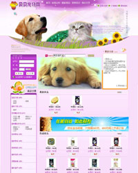 �����̳���վģ��